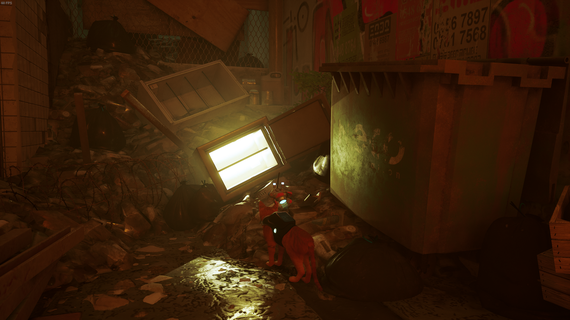 Stray How to get the safe code and crack the mysterious password in